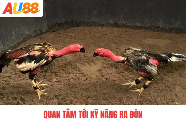 Quan tâm tới kỹ năng ra đòn Quan tâm tới kỹ năng ra đòn