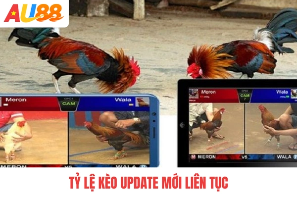 Tỷ lệ kèo update mới liên tục Tỷ lệ kèo update mới liên tục